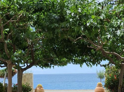 Eirini Apts On the beach
