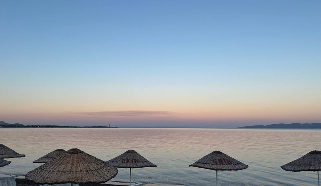 Ekin Assos
