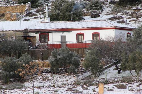 El Almendro de Fuentes Nuevas