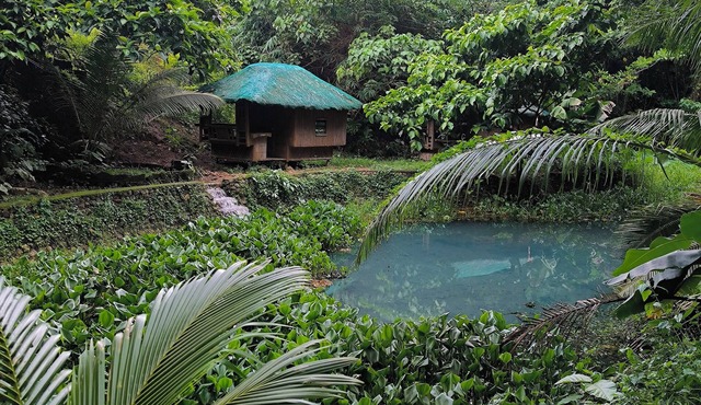 El Bosque Resort