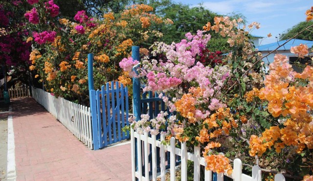 El Jardín de Playas