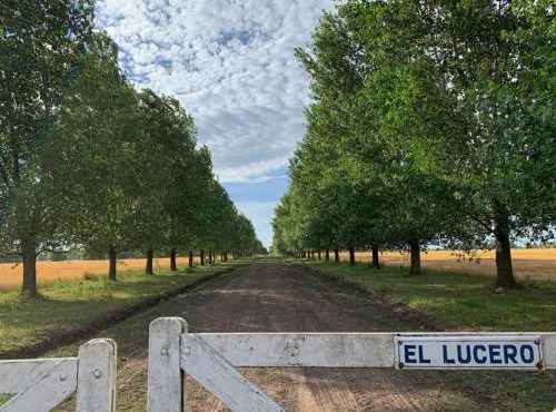 El Lucero - Casa de Campo *