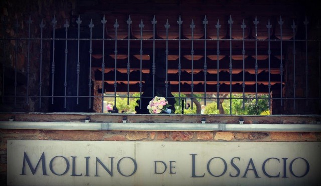 El Molino de Losacio