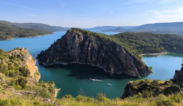 El olivar de Entrepeñas