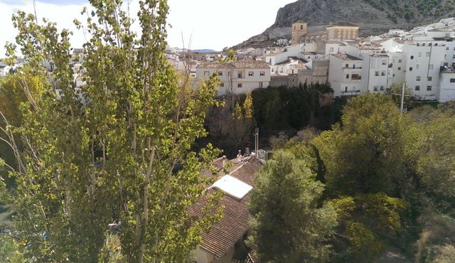 El Palacil