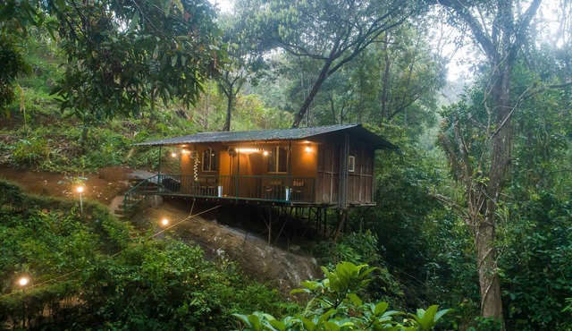 Ela Ecoland Munnar - A Nature Retreat