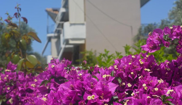 Eleonas Apartments