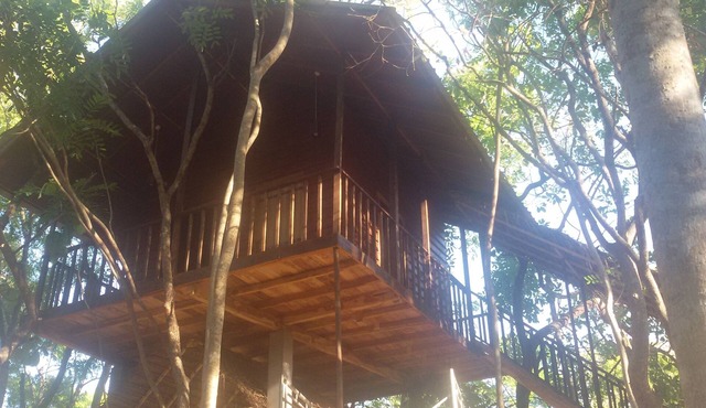 Elephant corridori camping