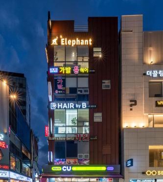 Elephant