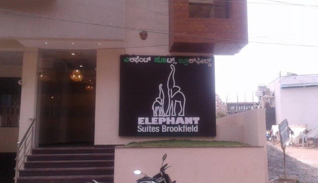 Elephant Suites Brookefield # 2
