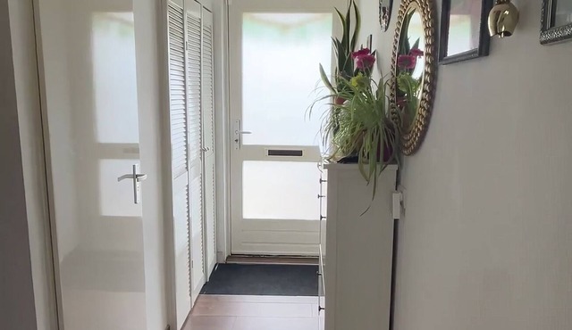 Elevate Your Stay: Thoughtfully Curated Urban Living