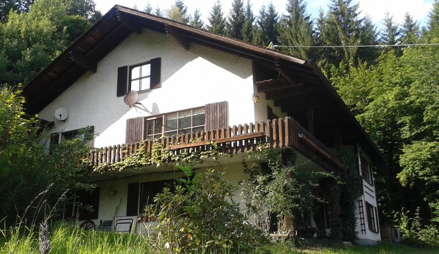 Eleven True Elves. Haus in Forest.