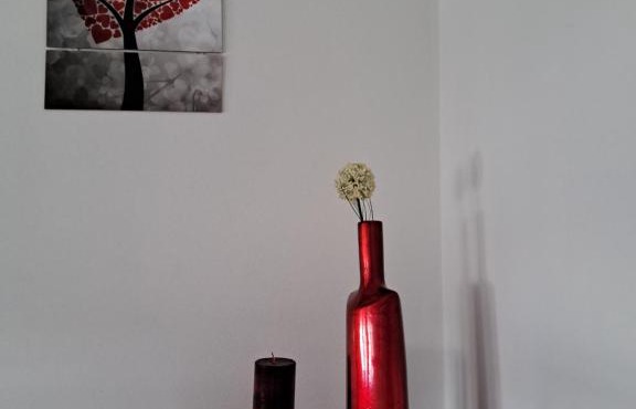 Eliva's House