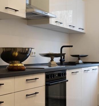 EM Elegance Apartment I Balkon & Parkplatz I Nürnberg