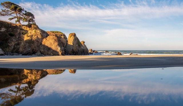 Emerald Dolphin Inn & Mini Golf
