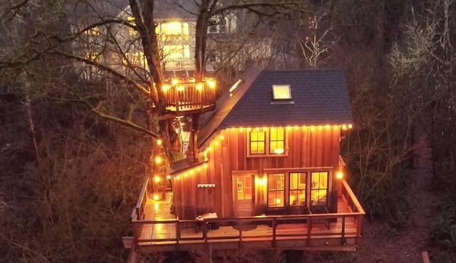 Emerald Forest Treehouse - From Treehouse Masters