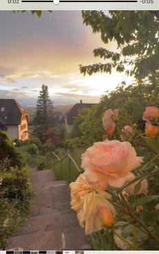 EMI2 Modern Apartment Free Parking Near Swiss Border