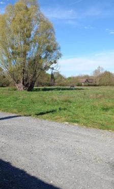 emplacement pour toile de tente