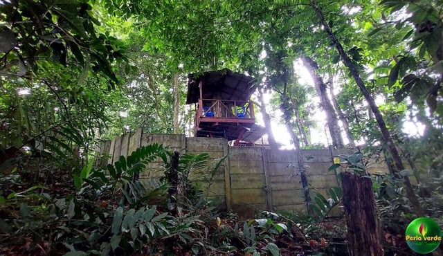 En Hostel Perla Verde, Sarapiquí te Sentirás Como en Casa en Medio del Bosque