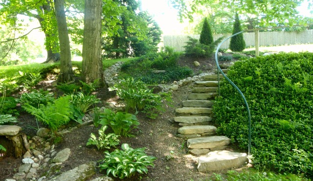 Enchanted Cottage On Babbling Brook