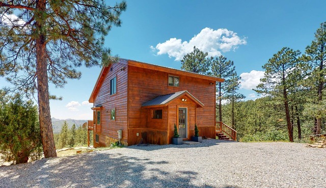 Enchanting mountainside home with fireplace, skiing, lake view, & washer/dryer