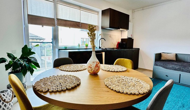 Enchanting studio with AC in charming Otopeni - Tunari