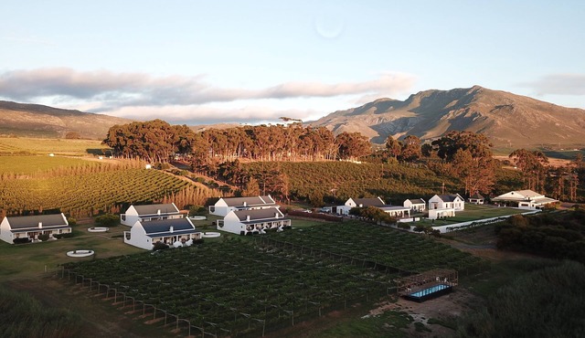 Endless Vineyards at Wildekrans Wine Estate