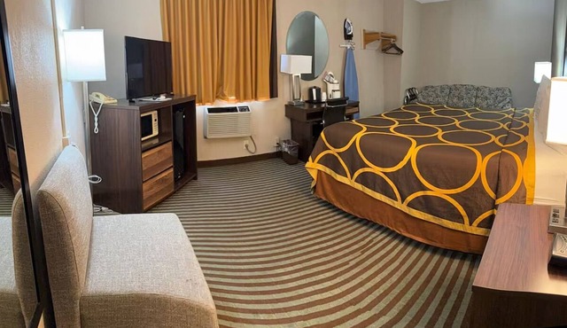 Enjoy a Tranquil Stay Close to the City’s Museums - Perfect for Adventurers