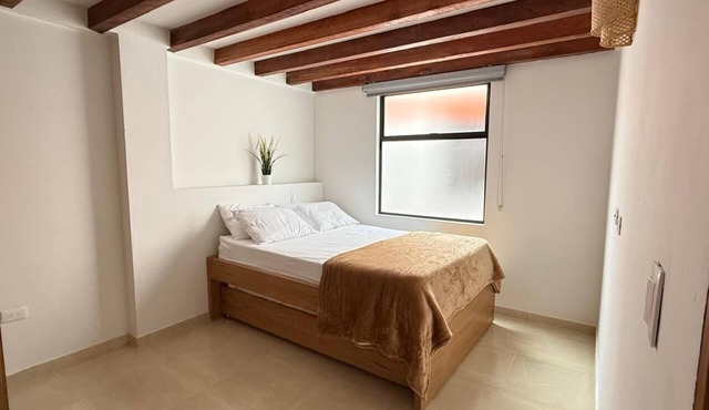 Enjoy an unforgettable stay in the garden