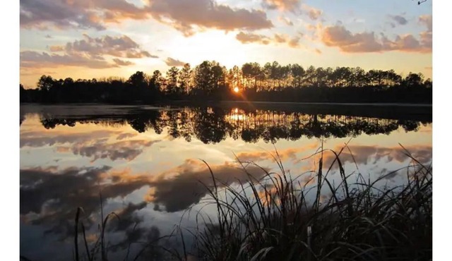 Enjoy the sunrise on private dock on lake Haskie