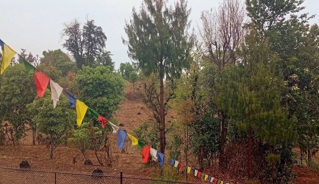 Enjoyable campground retreat in Thapathali perfect for nature lovers