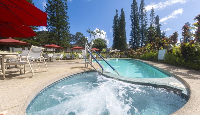 Ensuring a Very Comfortable & Memorable Stay! Free Parking Onsite, Pool!
