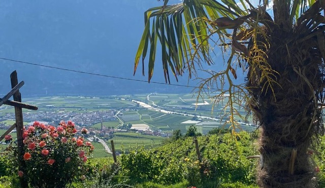 Entire accommodation surrounded by nature with beautiful panoramic terrace