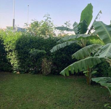 Entire Apartment with Garden