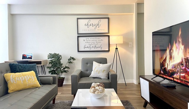 Entire apartment with king bed /traveling professionals welcome! longterm stays