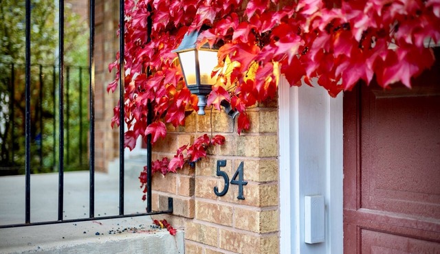 Entire Cheerful House
