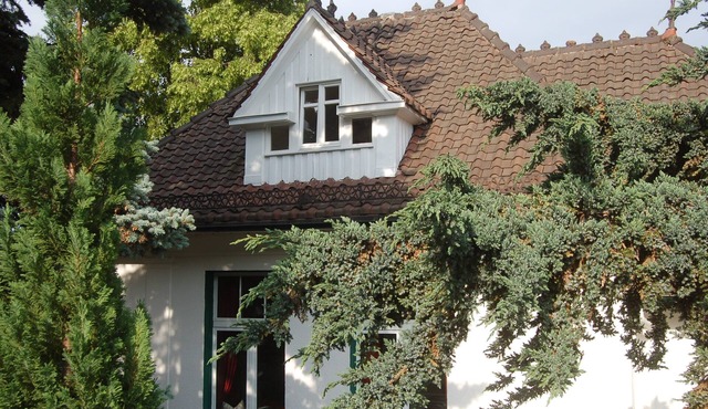 Entire villa on a large garden plot by the park