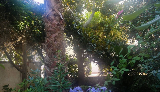 Entire villa surrounded by greenery 3 rooms with bathroom