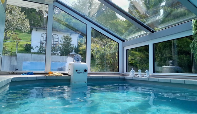 Entspannen am Pool - Ferienwohnung "apart"