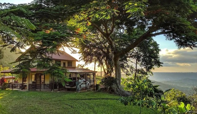 Epic Mountaintop Jungle Cottage Adventure