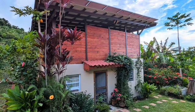 Epic Mountaintop Jungle Casita Adventure