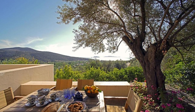 Epidaurus Olive Villa