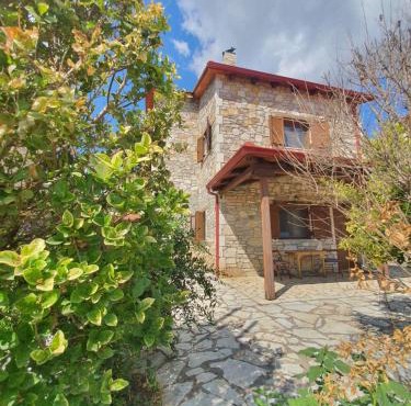 Erini House