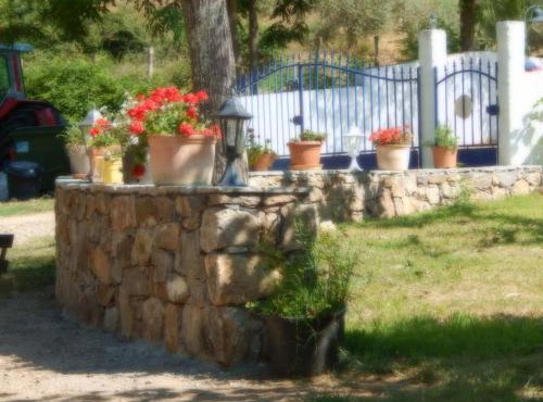 Ernella