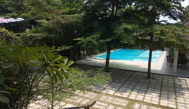 Escape to Wellness Bliss Resort: Your Ultimate Oasis of Relaxation and Renewal!