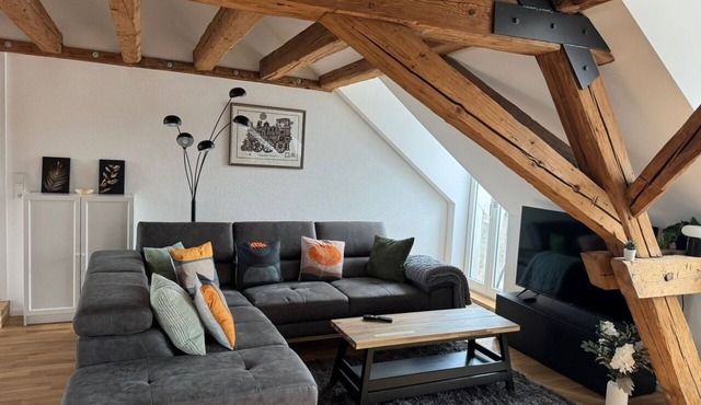 Espasingen Castle Apartment 2 - Penthouse apartment in the historic castle
