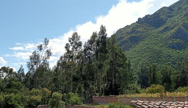 EstWasi