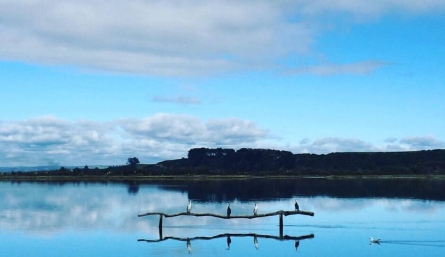 EUNOIA overlooking the Estuary - Pukehina Beach , SPA available