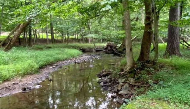 "Evergreen" Private, creek-side escape