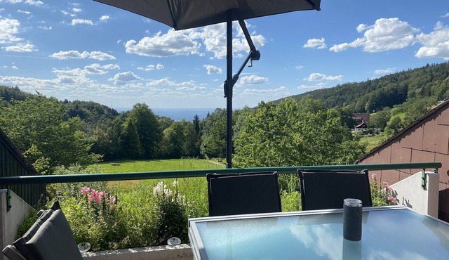 Everything your heart desires-Unique 4*(DTV)-FeWo with a fantastic view